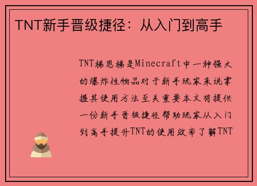 TNT新手晋级捷径：从入门到高手