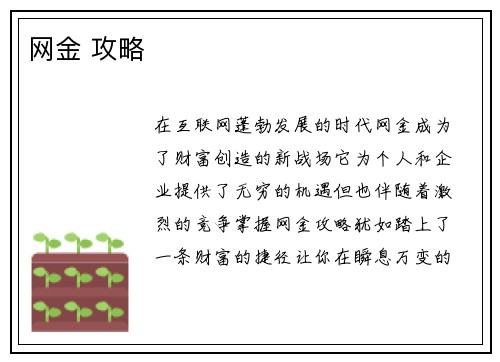 网金 攻略