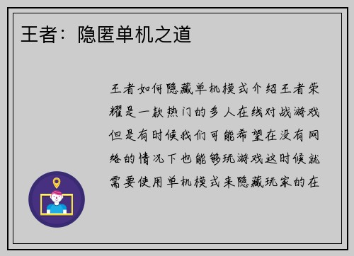 王者：隐匿单机之道