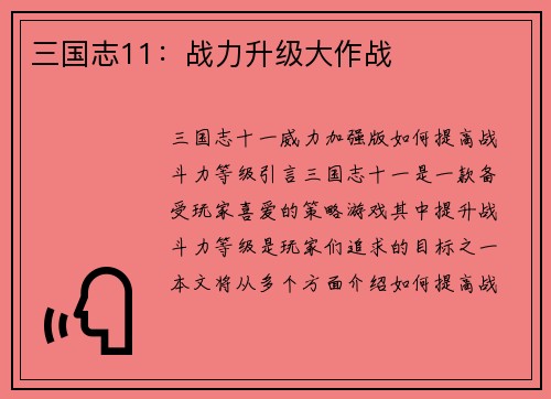 三国志11：战力升级大作战