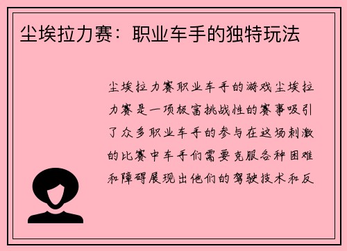 尘埃拉力赛：职业车手的独特玩法